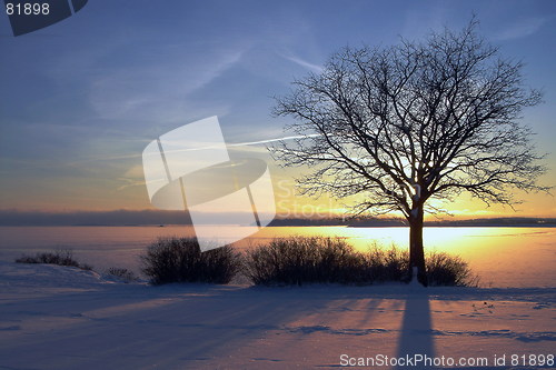 Image of Winter Sunset