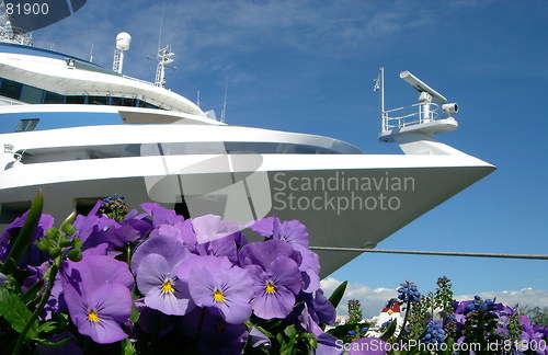 Image of Ship and Pansy