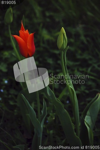 Image of mother and baby