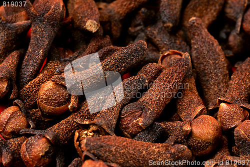 Image of Cloves background