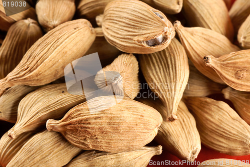 Image of Cardamom background