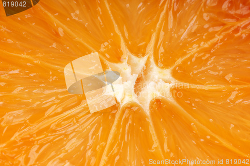 Image of Orange macro