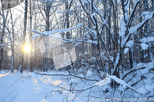 Image of winter landscape