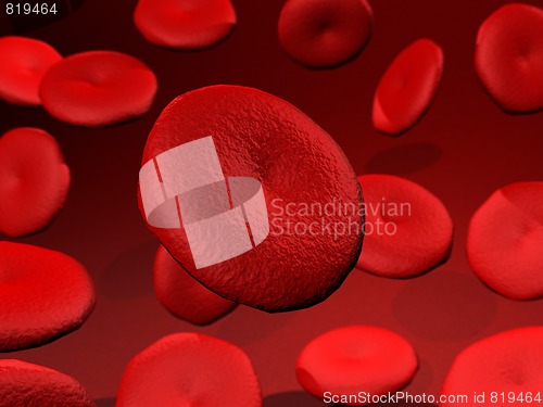 Image of Red Blood Cells