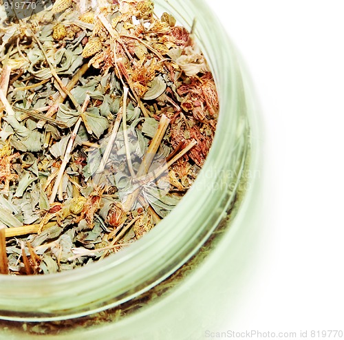 Image of hypericum in a bowl