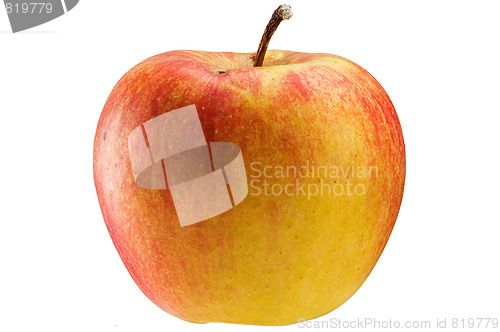 Image of Multicoloured apple