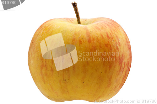 Image of Multicoloured apple