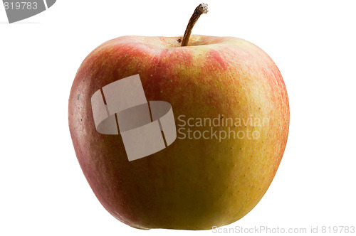 Image of Multicoloured apple