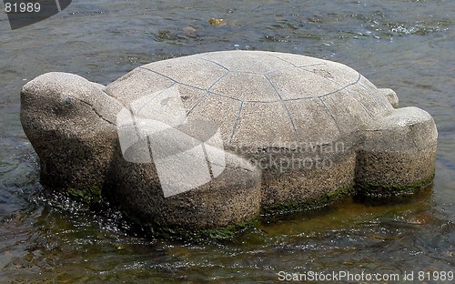 Image of Stone Tortoise