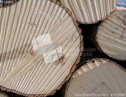 Image of Aspen Wood Logs