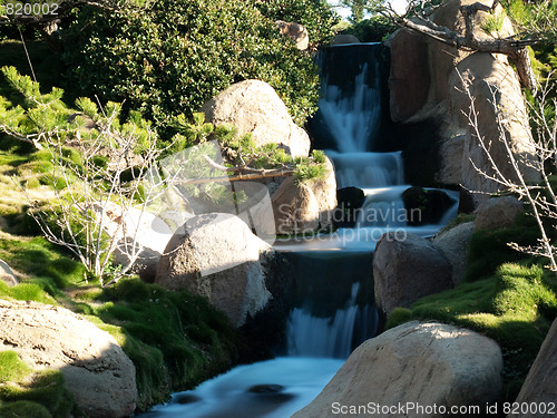 Image of Japanese garden