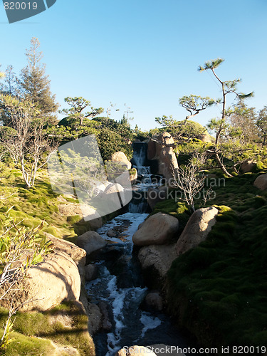 Image of Japanese garden