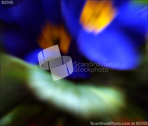 Image of abstract flower