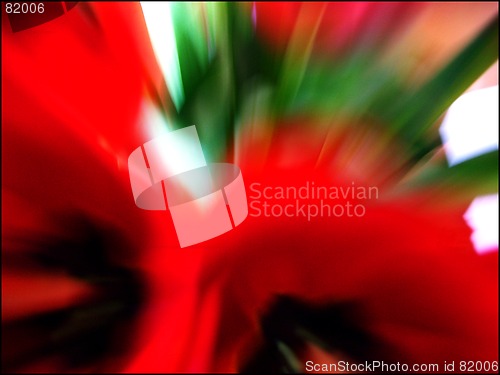 Image of poppy abstract