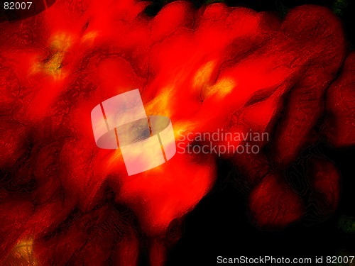 Image of abstract flower