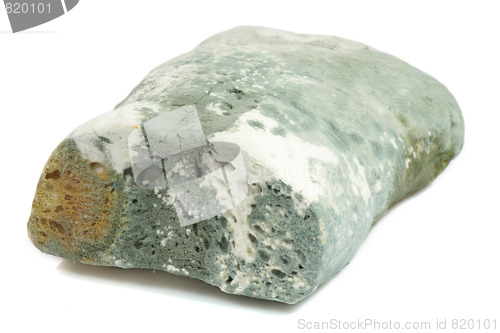 Image of Mold bread
