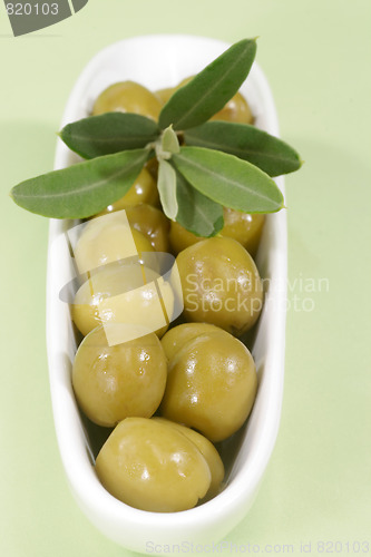 Image of Green olives with branch