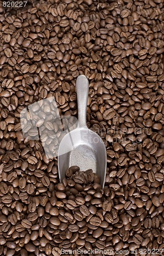 Image of Coffee beans background