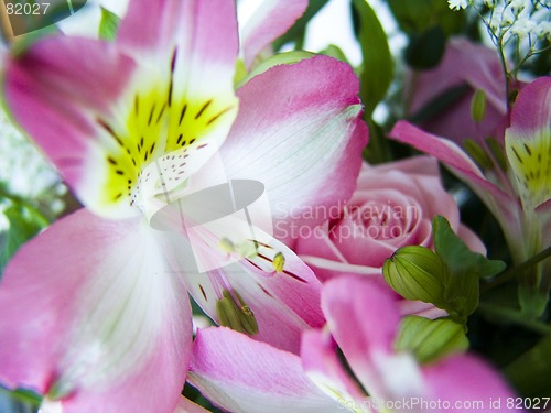 Image of Flower bouquet