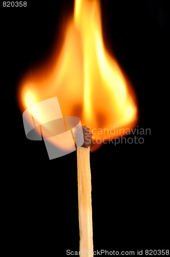 Image of Burst into flames