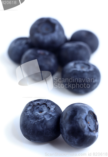 Image of Blueberries on a white background