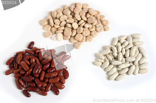 Image of Different beans