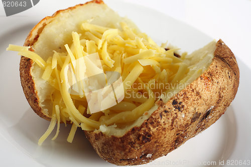 Image of Baked russet potato with cheddar cheese