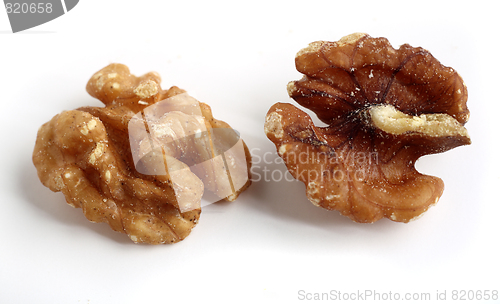 Image of Two walnuts