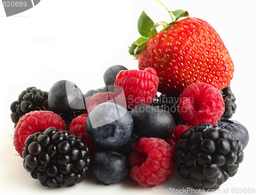 Image of Autumn fruits on white