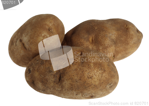 Image of Russet potatoes over white