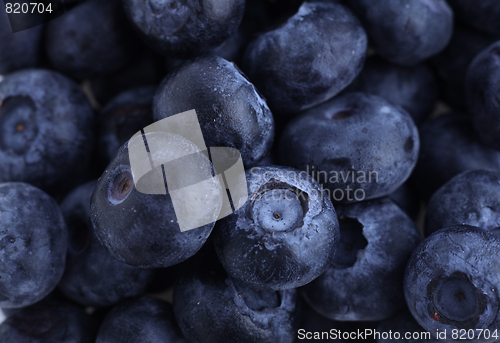 Image of Blueberries macro