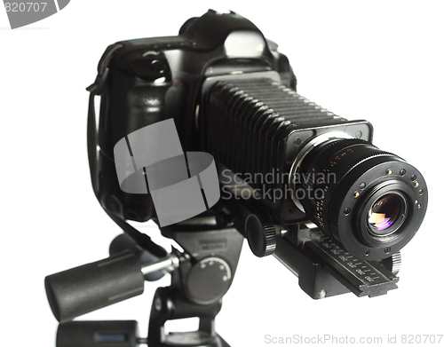 Image of professional micro-photography rig