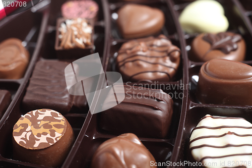 Image of Luxury chocolates in a tray