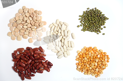 Image of Different pulses