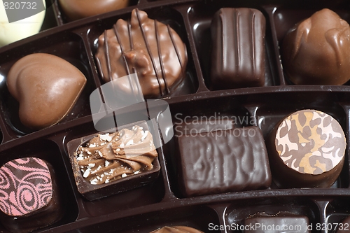 Image of Chocolates seen from above