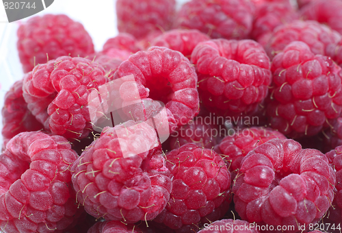 Image of Raspberries macro