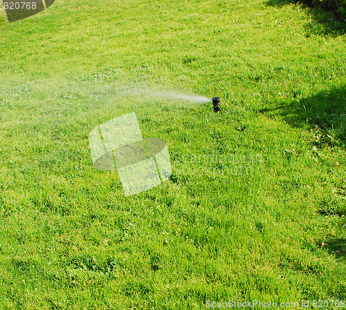 Image of water sprinkler