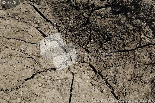 Image of Dry soil
