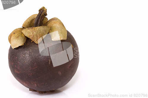 Image of mangosteen