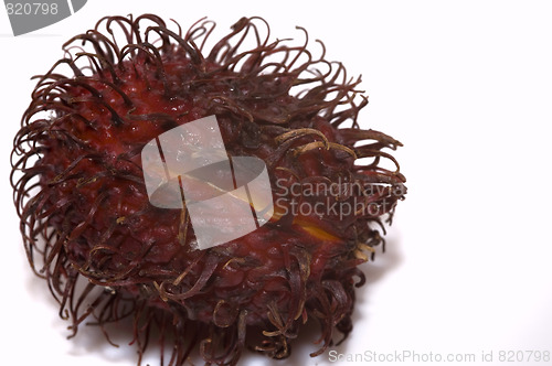 Image of rambutan