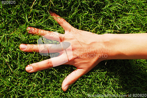 Image of hand on grass