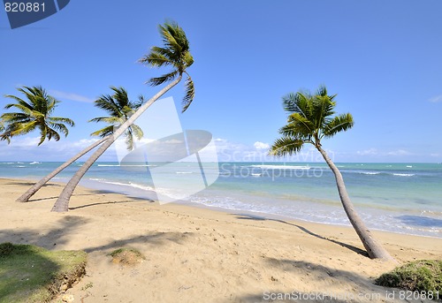 Image of Beach