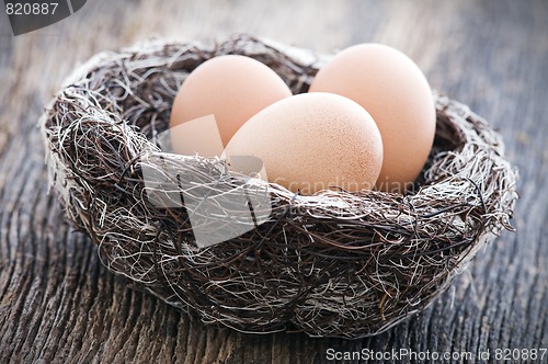 Image of Eggs