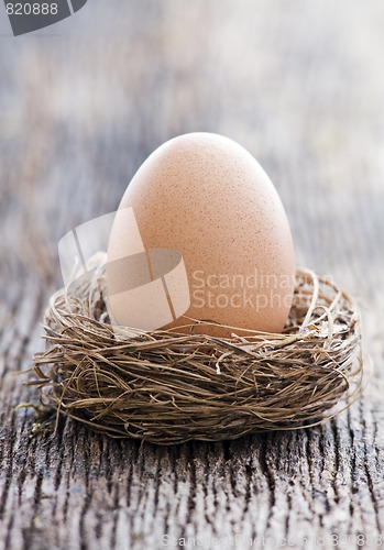 Image of Egg