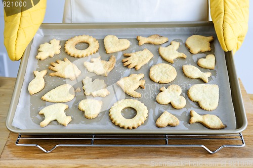 Image of Freshly baked cookies