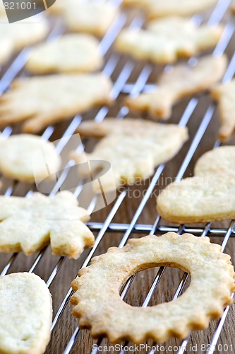 Image of Cooling freshly baked cookies
