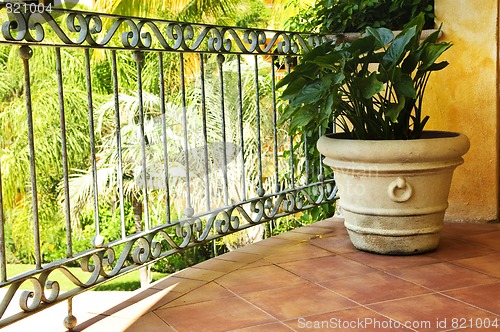 Image of Plant on tiled Mexican veranda