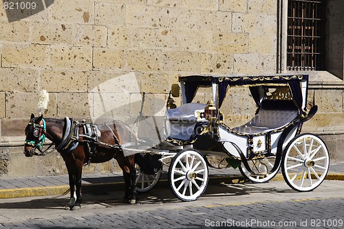Image of Horse drawn carriage in Guadalajara, Jalisco, Mexico