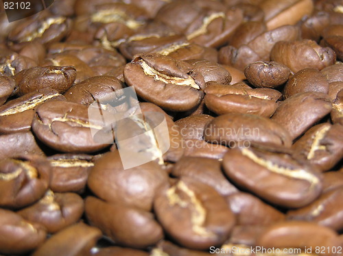 Image of coffee beans