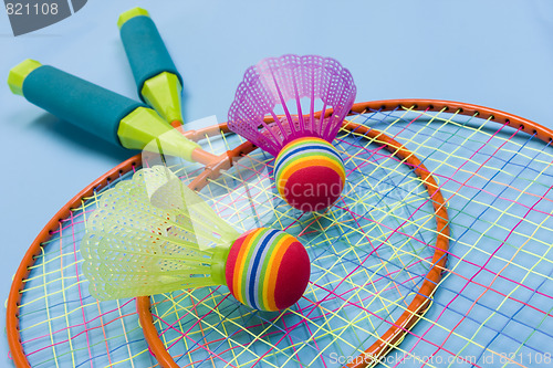 Image of Badminton